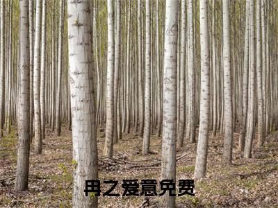 崔南温冉冉之爱意正版小说全文阅读 冉之爱意全文免费完整版