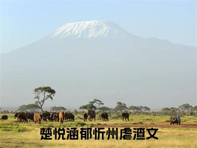 楚悦涵郁忻州（楚悦涵郁忻州）小说全文完结版免费阅读