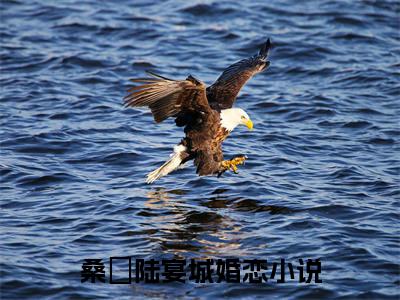 桑沵陆宴城（桑沵陆宴城）全文免费阅读无弹窗_桑沵陆宴城最新小说_笔趣阁（桑沵陆宴城）