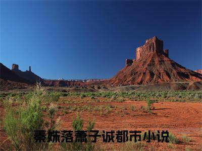 秦姝落萧子诚（秦姝落萧子诚）全文免费阅读无弹窗_秦姝落萧子诚最新小说_笔趣阁（秦姝落萧子诚）