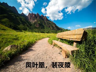 爆款小说（凤叶凰，裴夜陵）主角凤叶凰，裴夜陵全文在线完本阅读
