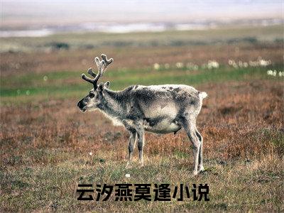 云汐燕莫逢(云汐燕莫逢)全文免费阅读无弹窗大结局_(云汐燕莫逢免费阅读全文大结局)最新章节列表