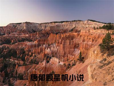 唐郁顾星帆最新章节阅读-唐郁顾星帆免费阅读大结局无弹窗