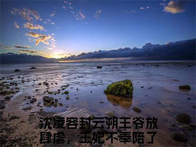 王爷放肆虐，王妃不奉陪了美文欣赏完整版，沈凌容封云朔精彩章节在线阅读