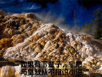 顾晚钰谢鹤憬（如果有下辈子，宁愿与皇叔从不相识小说）全文免费阅读无弹窗大结局_如果有下辈子，宁愿与皇叔从不相识小说免费阅读最新章节列表_笔趣阁（顾晚钰谢鹤憬小说）