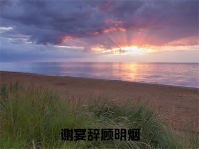 谢宴辞顾明烟高质量热文推荐试读-谢宴辞顾明烟完整章节阅读