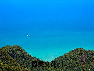周秉文花玥最火热点小说最新更新-周秉文花玥全文免费无弹窗