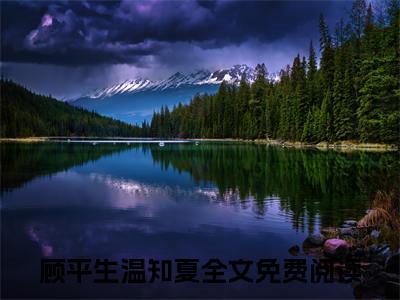 夏夏，说你爱我小说全文免费阅读_（顾平生温知夏）夏夏，说你爱我最新章节列表笔趣阁