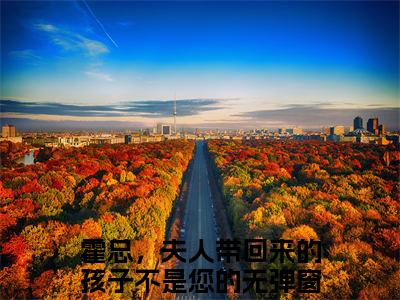 霍总，夫人带回来的孩子不是您的（庄嘉宁霍一珩）小说全文免费阅读-霍总，夫人带回来的孩子不是您的（庄嘉宁霍一珩）免费在线阅读完整版