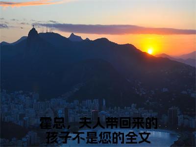 霍总，夫人带回来的孩子不是您的免费阅读无弹窗大结局-庄嘉宁霍一珩最新全章节全文阅读免费阅读-笔趣阁