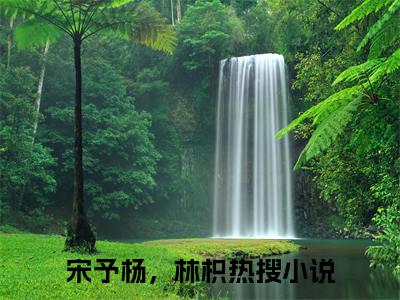 宋予杨，林枳小说（宋予杨，林枳）免费观看-宋予杨，林枳高质量小说推荐阅读