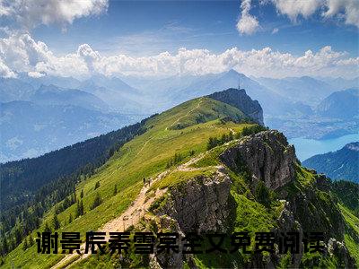 谢景辰秦雪棠小说免费(谢景辰秦雪棠)全文免费阅读无弹窗（谢景辰秦雪棠小说）最新章节列表_笔趣阁