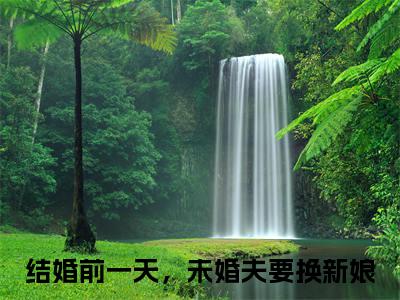 郭婷贺鸿结婚前一天，未婚夫要换新娘小说在哪里可以看结婚前一天，未婚夫要换新娘免费在线阅读