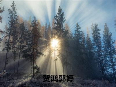 贺鸿郭婷小说全文（贺鸿郭婷）完整版阅读-贺鸿郭婷小说全文无删减版