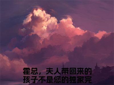 霍总，夫人带回来的孩子不是您的（庄嘉宁霍一珩）免费阅读无弹窗大结局-庄嘉宁霍一珩（最新全章节大结局）全文阅读
