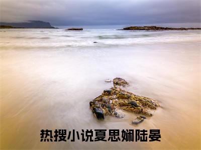 朱颜未改（夏思娴陆晏小说）小说免费最新章节列表_朱颜未改笔趣阁（夏思娴陆晏小说）