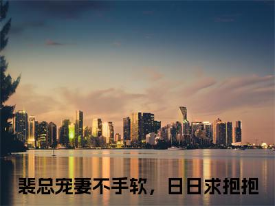 裴诀林洛（裴总宠妻不手软，日日求抱抱）小说无删减版免费阅读-裴总宠妻不手软，日日求抱抱精彩章节推荐阅读