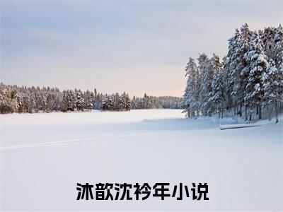 沐歆沈衿年（沐歆沈衿年）全文免费阅读无弹窗大结局_沐歆沈衿年全文在线阅读无弹窗