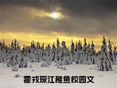 霍戎琛江稚鱼小说免费阅读完整版全文大结局