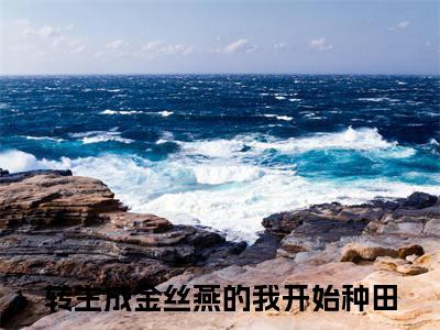 燕鸿精选小说大结局阅读_（转生成金丝燕的我开始种田）燕鸿免费阅读最新章节列表