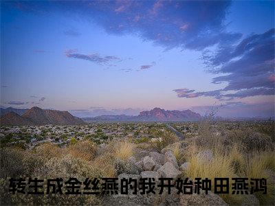 燕鸿小说转生成金丝燕的我开始种田完整版阅读转生成金丝燕的我开始种田全文在线赏析