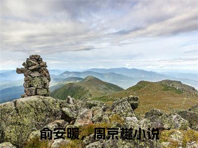 俞安暖，周京樾（他的爱，她要不起）全文免费阅读无弹窗大结局_俞安暖，周京樾免费最新章节列表_笔趣阁