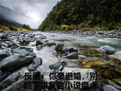 罗峰（反派：你要退婚，别跪下求复合免费小说）全文免费阅读无弹窗大结局_反派：你要退婚，别跪下求复合免费小说最新章节列表_笔趣阁