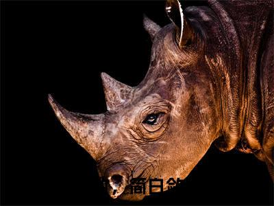 阮楠竹简白敛小说（阮楠竹，简白敛）全文免费阅读无弹窗大结局_阮楠竹，简白敛最新章节列表（阮楠竹，简白敛）