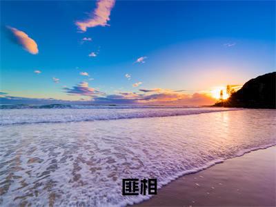 李妍沈寒舟（匪相）全文免费阅读无弹窗大结局_李妍沈寒舟免费阅读全文大结局