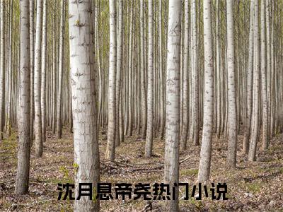 沈月息帝尧：全宗门摆烂，小师妹卷疯了全文免费阅读无弹窗大结局_（沈月息帝尧）全宗门摆烂，小师妹卷疯了最新章节列表笔趣阁