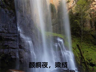 颜桐夜，梁成小说（颜桐夜，梁成）全文免费阅读_（颜桐夜，梁成）小说最新章节列表_笔趣阁（颜桐夜，梁成）