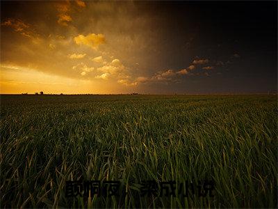新上热文颜桐夜，梁成-颜桐夜，梁成在线阅读的小说完整版