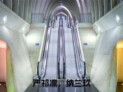 严祁凛，纳兰玖的小说全文免费阅读无弹窗，严祁凛，纳兰玖的小说在线免费阅读大结局