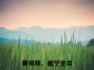 秦祯明，崔宁 全文免费阅读无弹窗大结局-秦祯明，崔宁全文无弹窗免费阅读大结局