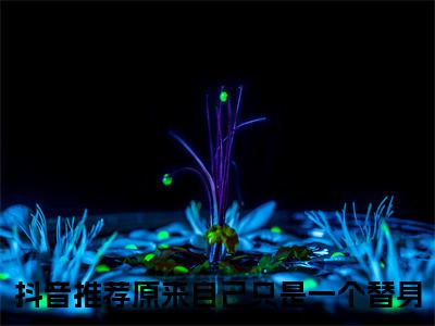 凌栀意应复洲（原来自己只是一个替身）全文在线阅读无弹窗大结局_原来自己只是一个替身全文无弹窗最新章节列表_笔趣阁