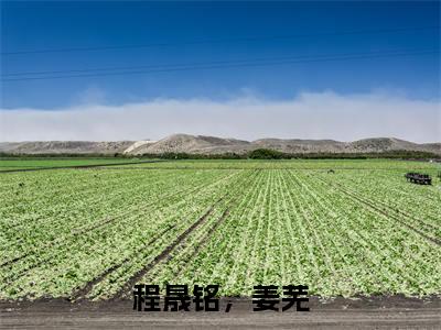 程晟铭，姜芜完结版小说全文在线免费阅读_程晟铭，姜芜最新章节列表_笔趣阁