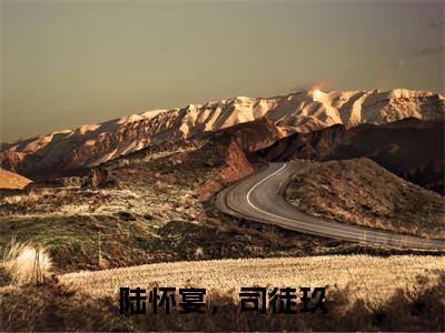 陆怀宴，司徒玖今日阅读更新-（陆怀宴，司徒玖）全文免费阅读-陆怀宴，司徒玖