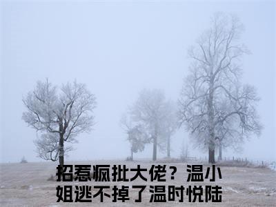 （温时悦陆燃）招惹疯批大佬？温小姐逃不掉了小说全文免费_（温时悦陆燃）最新章节列表笔趣阁