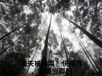 沈绥宁江暮寒（渣夫被绑架？快撕票，我要当寡妇）全文免费阅读无弹窗大结局-沈绥宁江暮寒最新章节列表免费阅读
