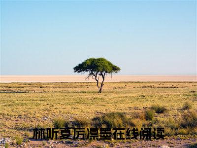 林听夏厉凛墨（林听夏厉凛墨小说）全文免费阅读无弹窗大结局_林听夏厉凛墨小说最新章节列表_（林听夏厉凛墨）