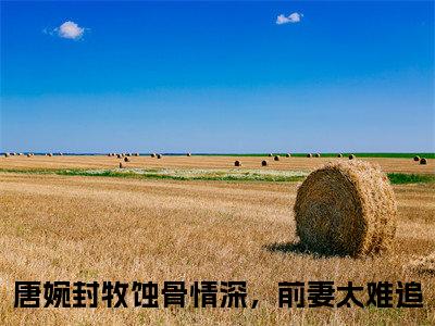 蚀骨情深，前妻太难追（唐婉封牧）小说全文免费阅读无弹窗-蚀骨情深，前妻太难追全章节在线阅读