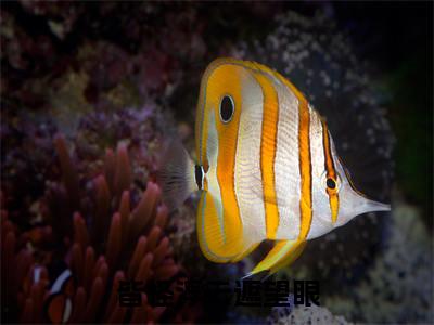 冷痕莫毓（皆怪浮云遮望眼）小说全文-皆怪浮云遮望眼小说免费阅读大结局