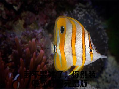 我不娶她了，你别装睡了好吗（宋南枝墨白渊）小说精彩免费内容_我不娶她了，你别装睡了好吗最新章节全文阅读（宋南枝墨白渊）