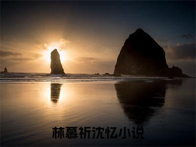 林慕祈沈忆完本小说全集阅读-（林慕祈沈忆）主角的小说是什么名字