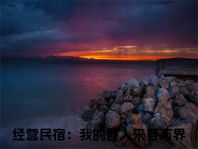 经营民宿：我的客人来自万界（林逸）全文小说免费阅读_（林逸）经营民宿：我的客人来自万界最新章节列表