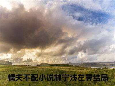 懦夫不配免费阅读林宁浅左霁最新章节目录