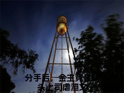 分手后，金主竟是顶头上司小说热门榜单免费阅读，安星辰陆晏舟抖音新上热文分享_笔趣阁（分手后，金主竟是顶头上司）