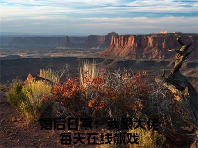 婚后日常：我跟大佬每天在线飙戏（虞筝盛景霆）小说全文免费阅读-婚后日常：我跟大佬每天在线飙戏（虞筝盛景霆）免费在线阅读完整版