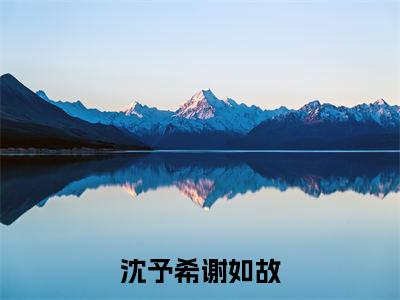 沈予希谢如故小说全文（沈予希谢如故）全文免费阅读无弹窗大结局_沈予希谢如故全文免费阅读无弹窗最新章节列表