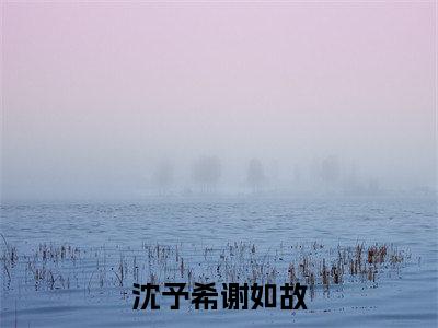沈予希谢如故(沈予希谢如故)全文免费阅读无弹窗大结局_沈予希谢如故最新章节列表_笔趣阁(沈予希谢如故)